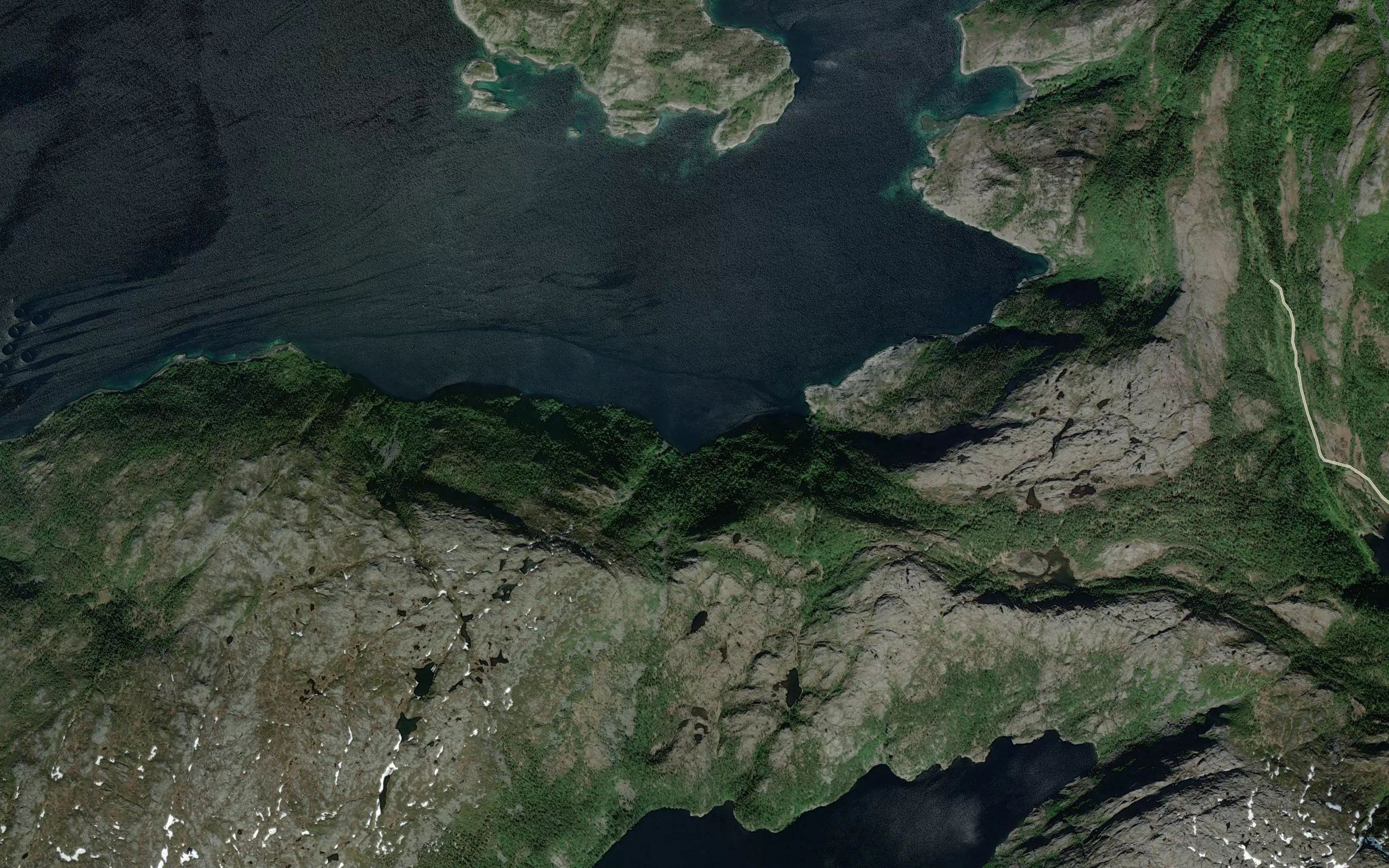 Sildvika