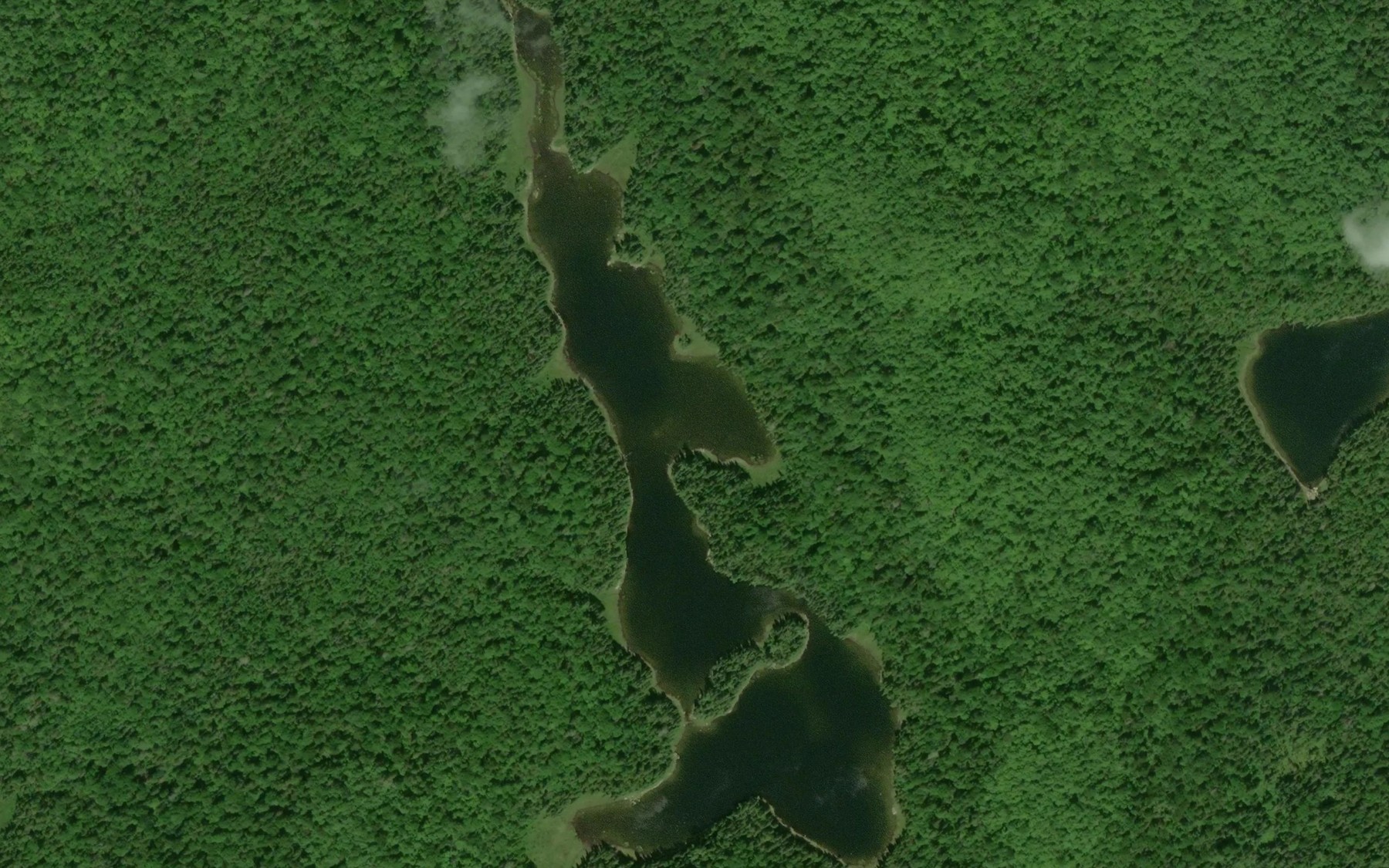 Satellite map of the Parch Lake