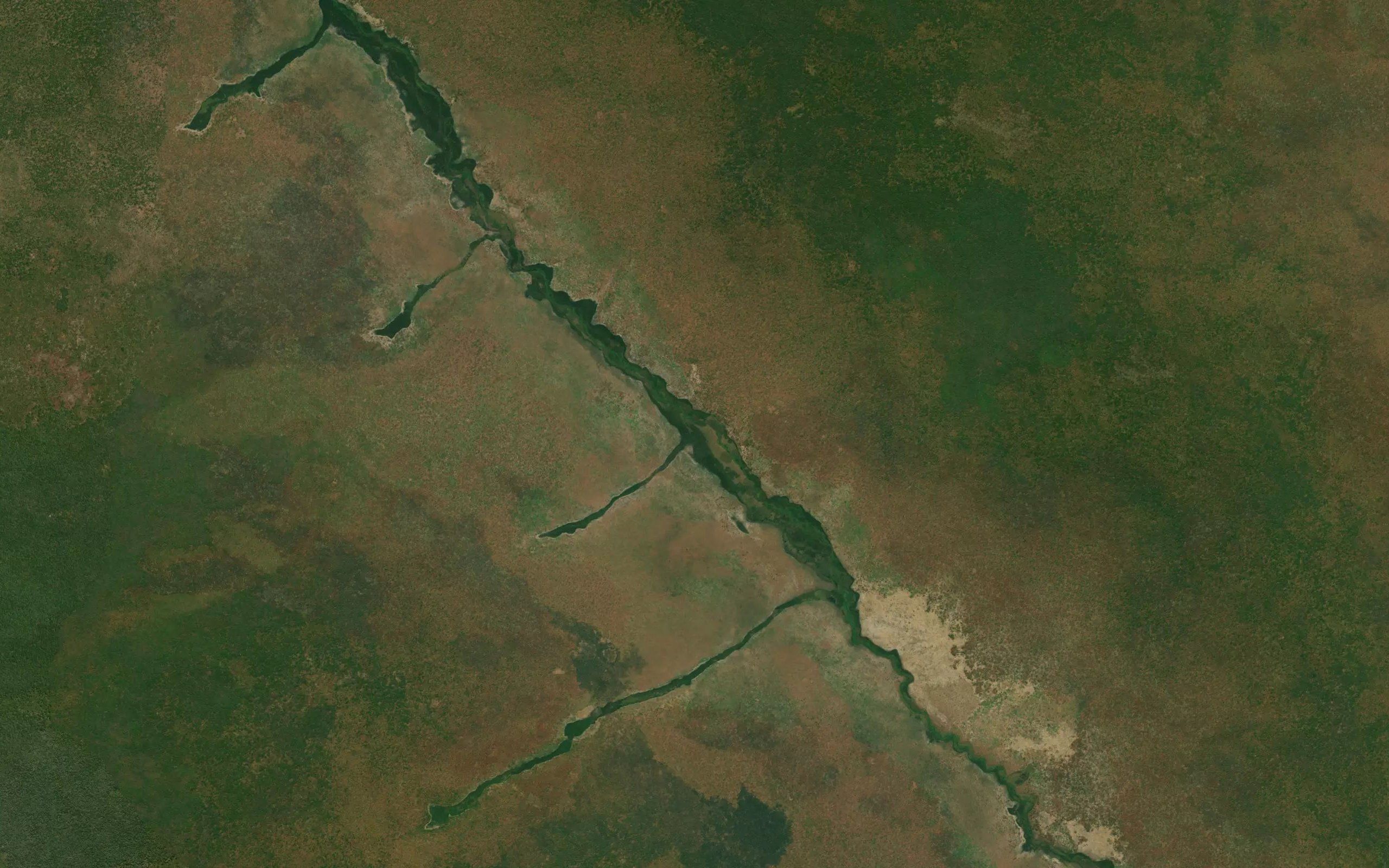 Nzambula