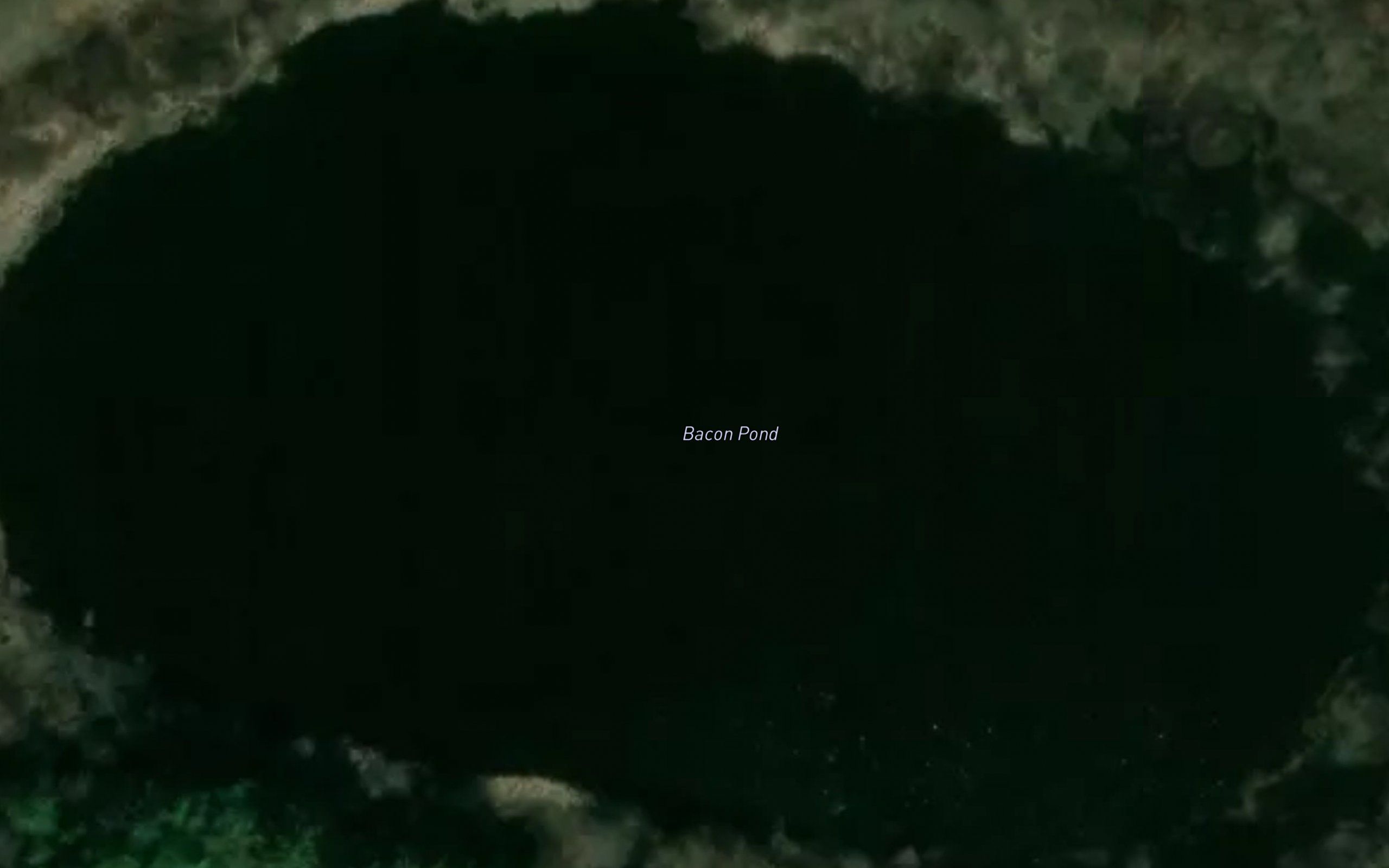 Bacon Pond