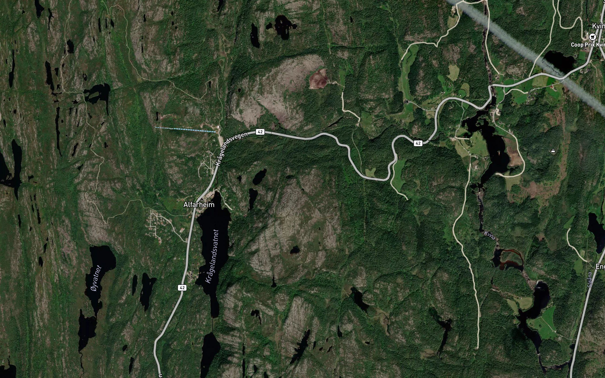 Kongen