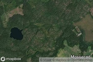 Lokholtbekken