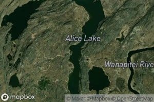 Alice Lake