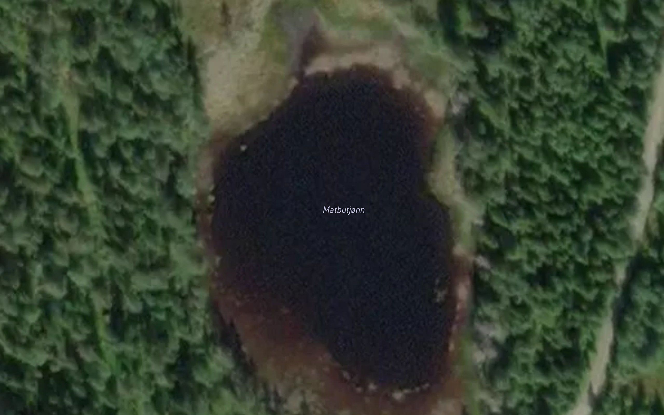 Matbutjorni
