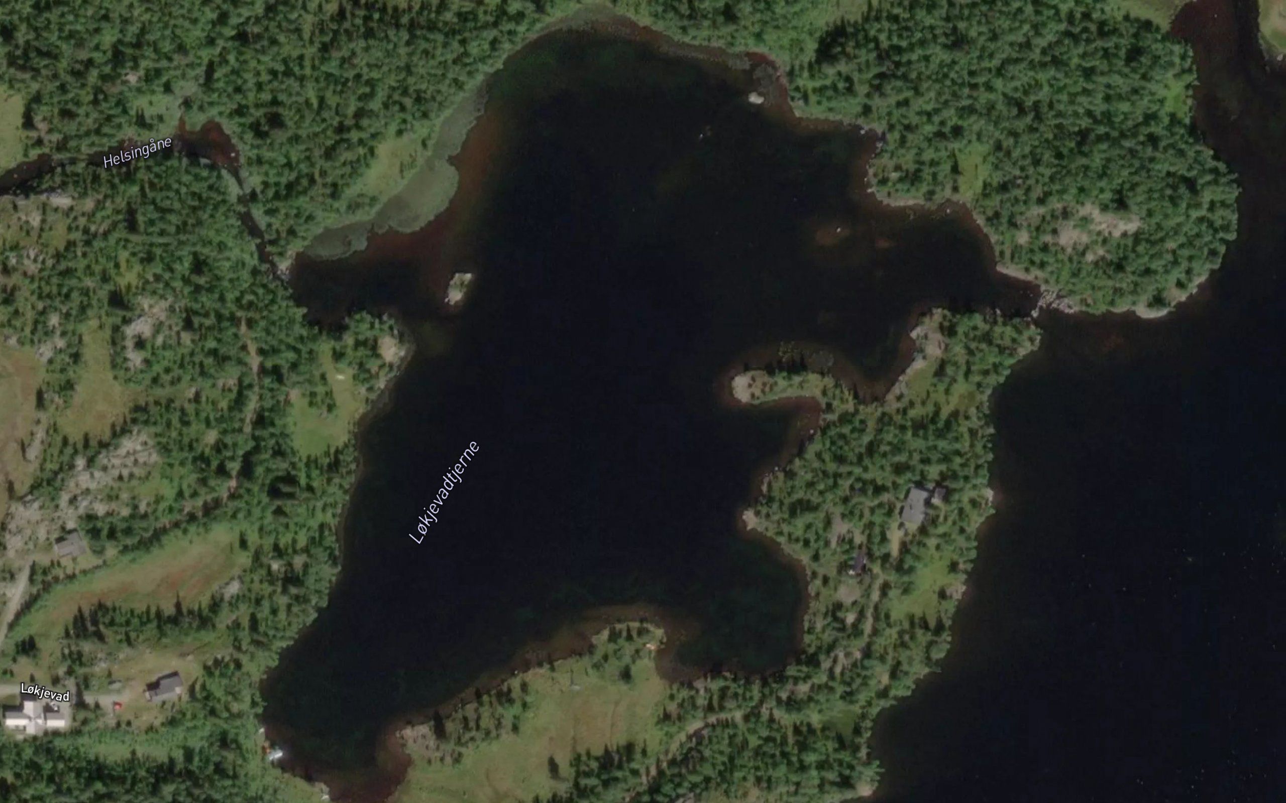 Lokevadtjern