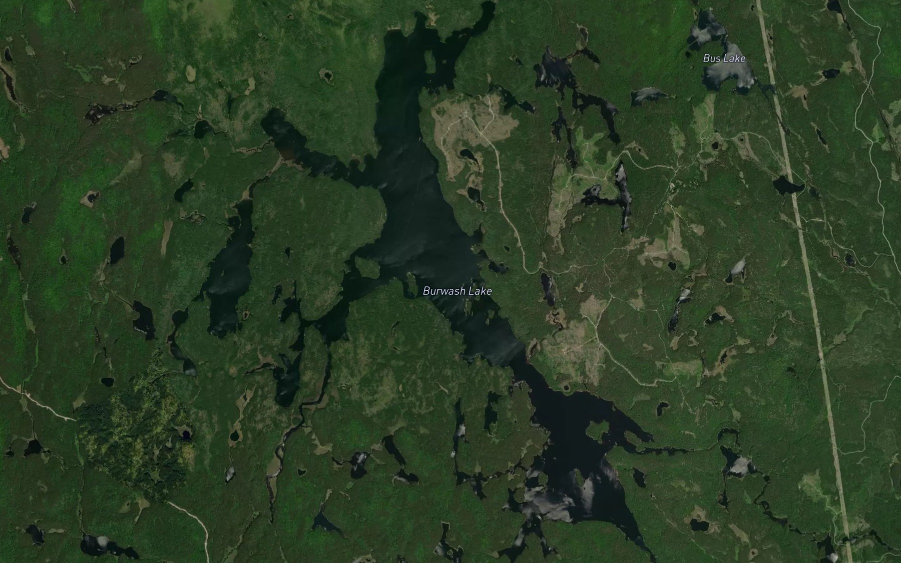 Satellite map of the Burwash Lake