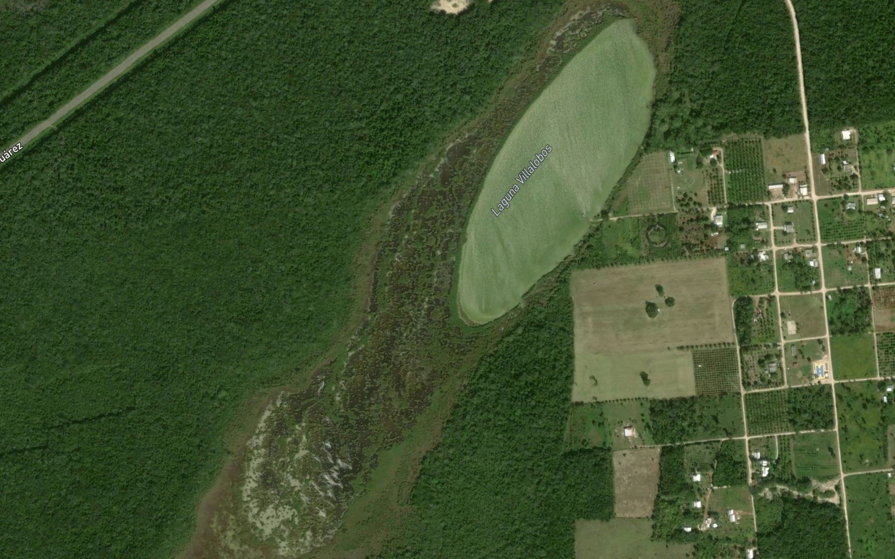 Satellite map of the Laguna Villalobos