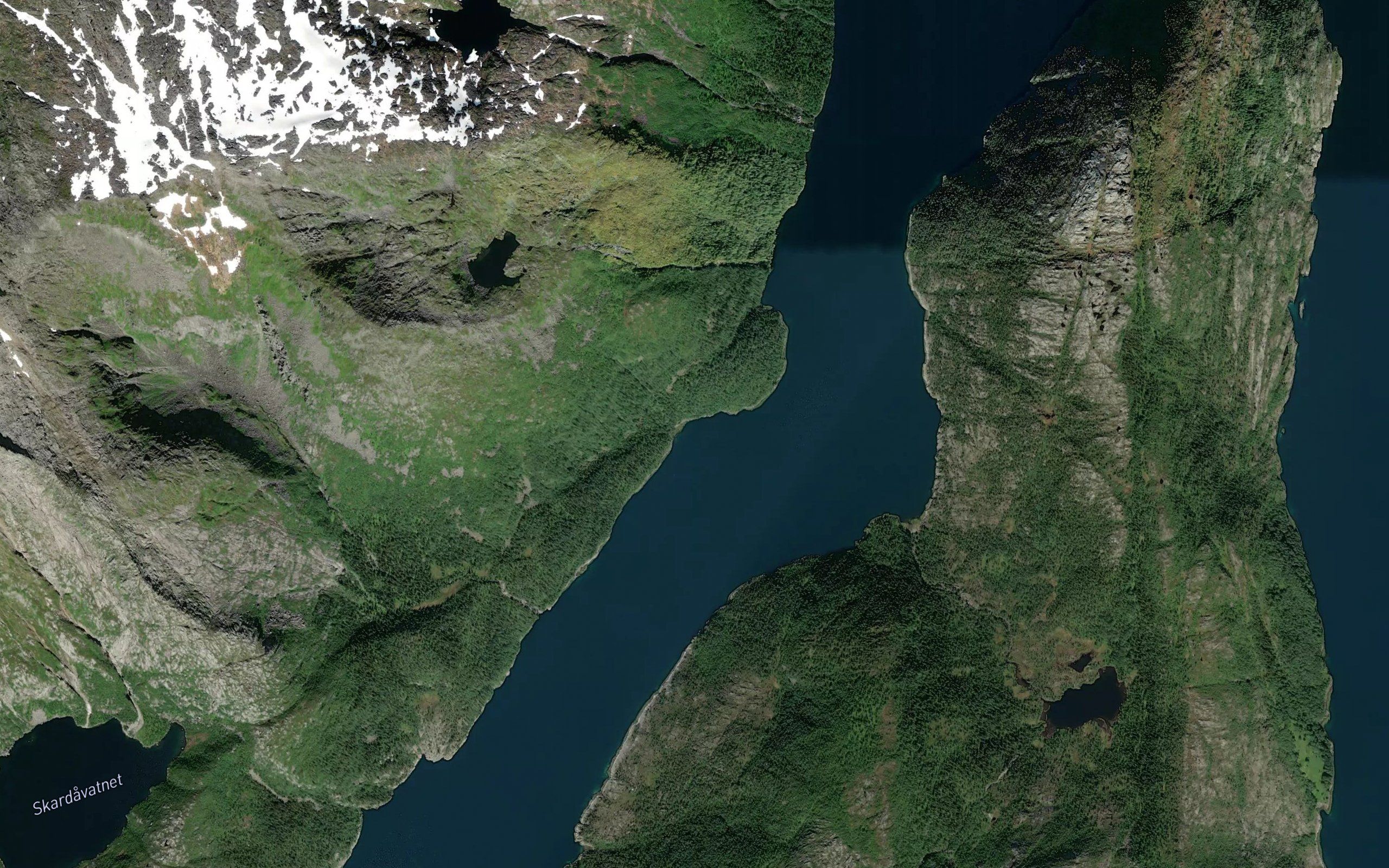 Ytter-Fornesvika