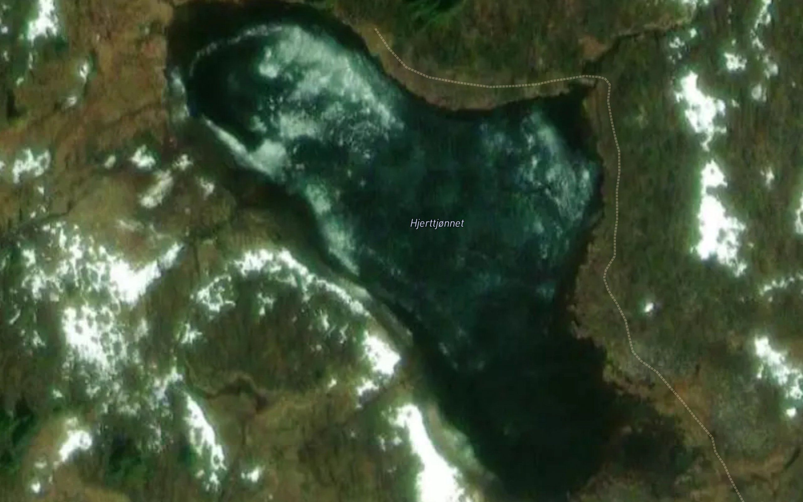 Hjerttjernet