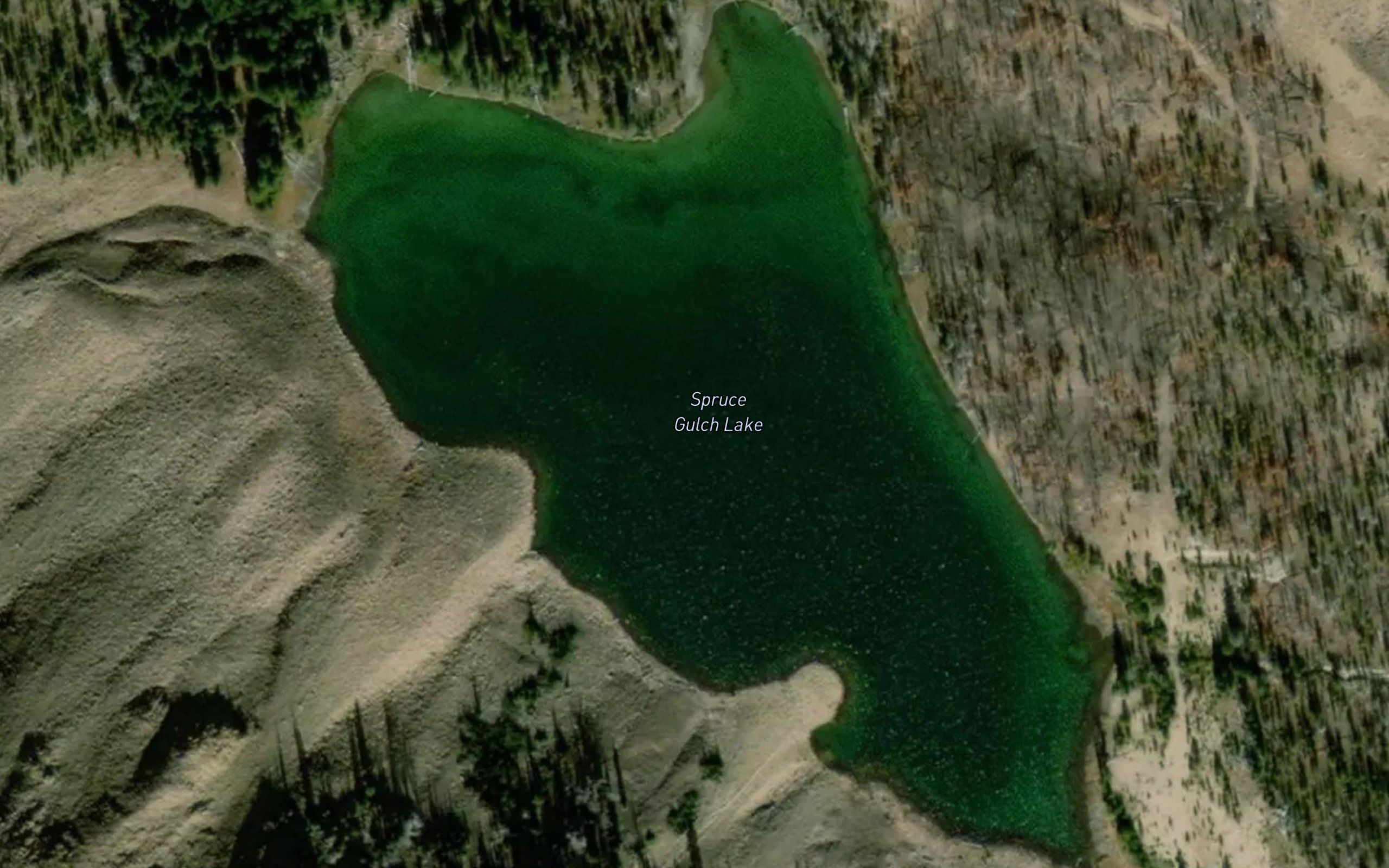 Spruce Gulch Lake