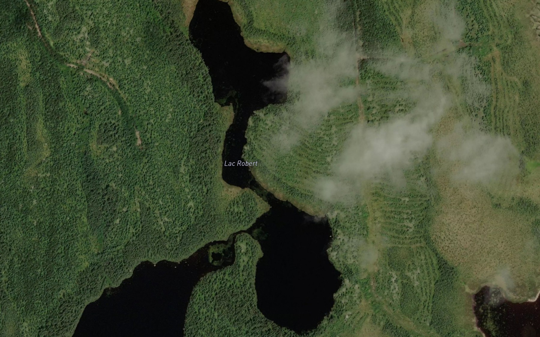 Satellite map of the Lac Robert