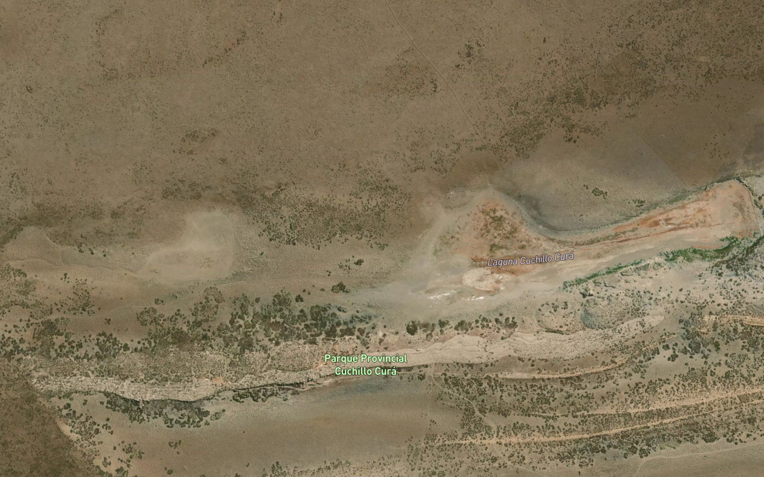 Laguna Cuchillo Cura