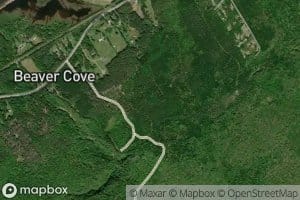 Beaver Cove