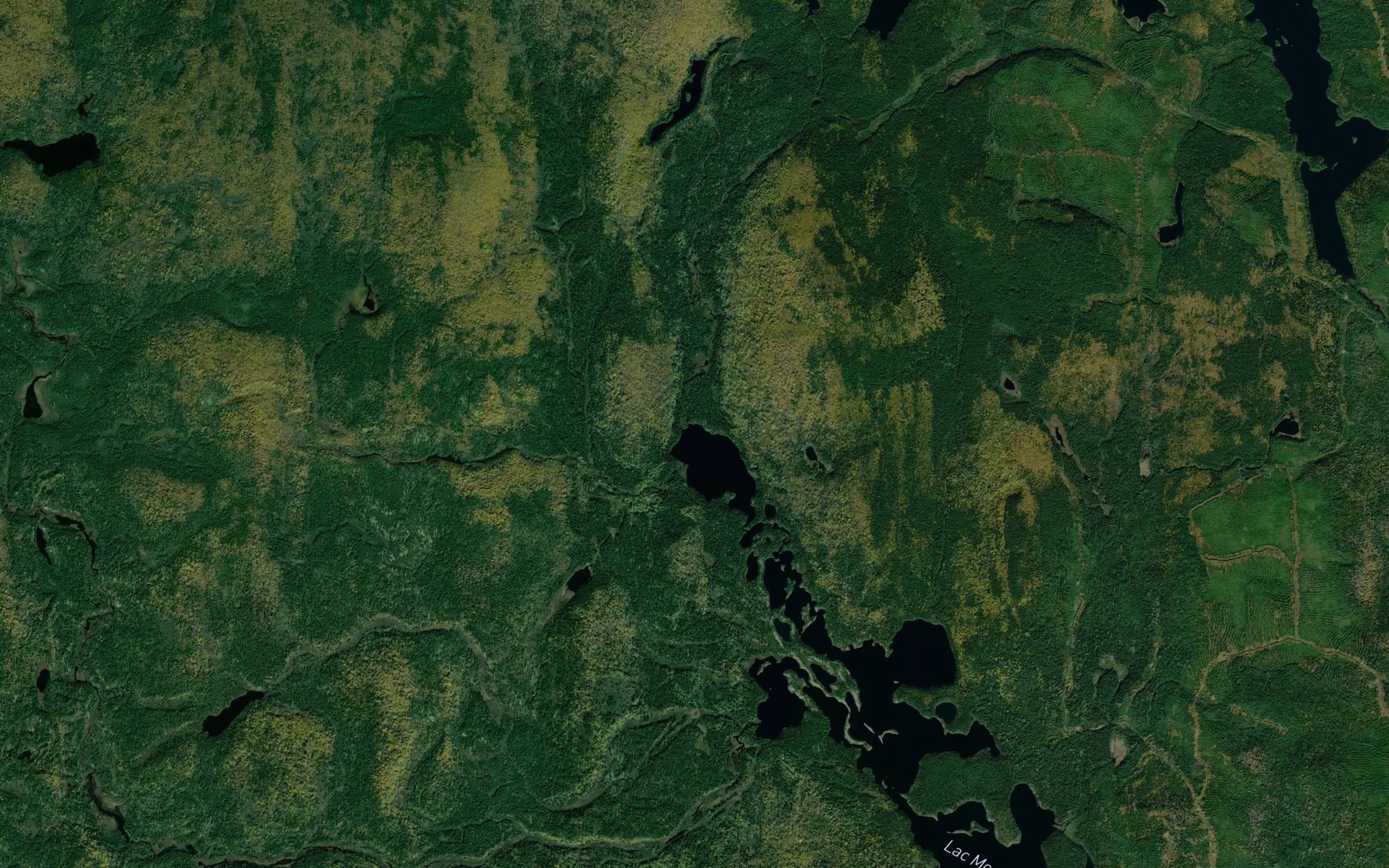 Satellite map of the Ruisseau de la Cartouche