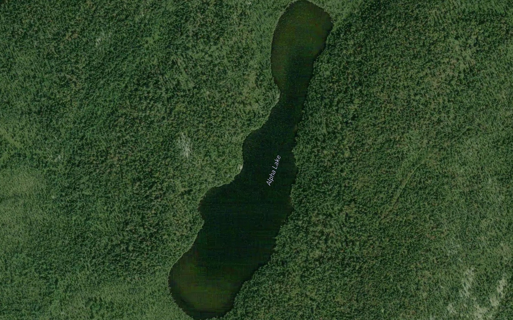 Satellite map of the Alpha Lake