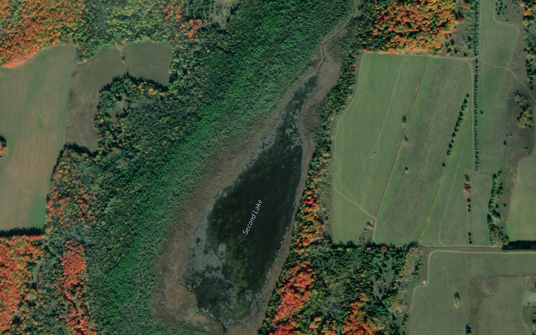 Satellite map of the Second Lake