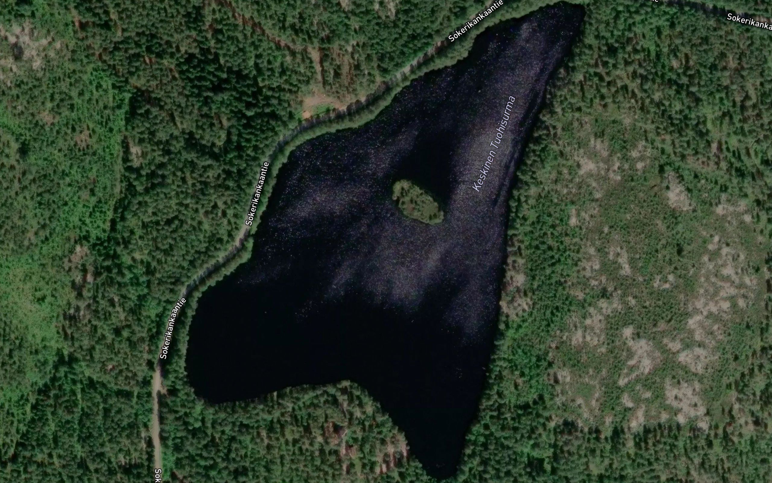 Keskinen Tuohisurma