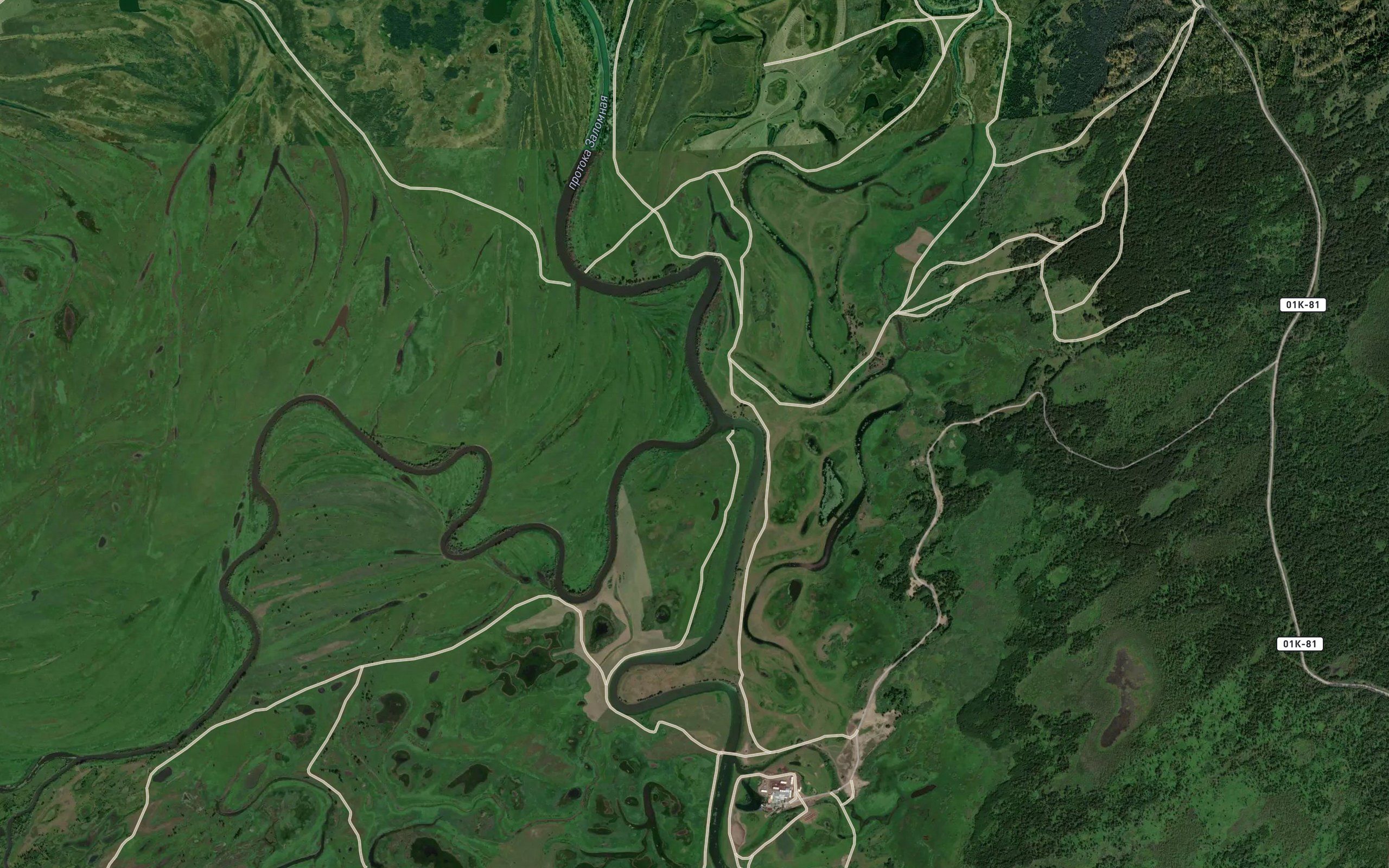 Zalomnaya