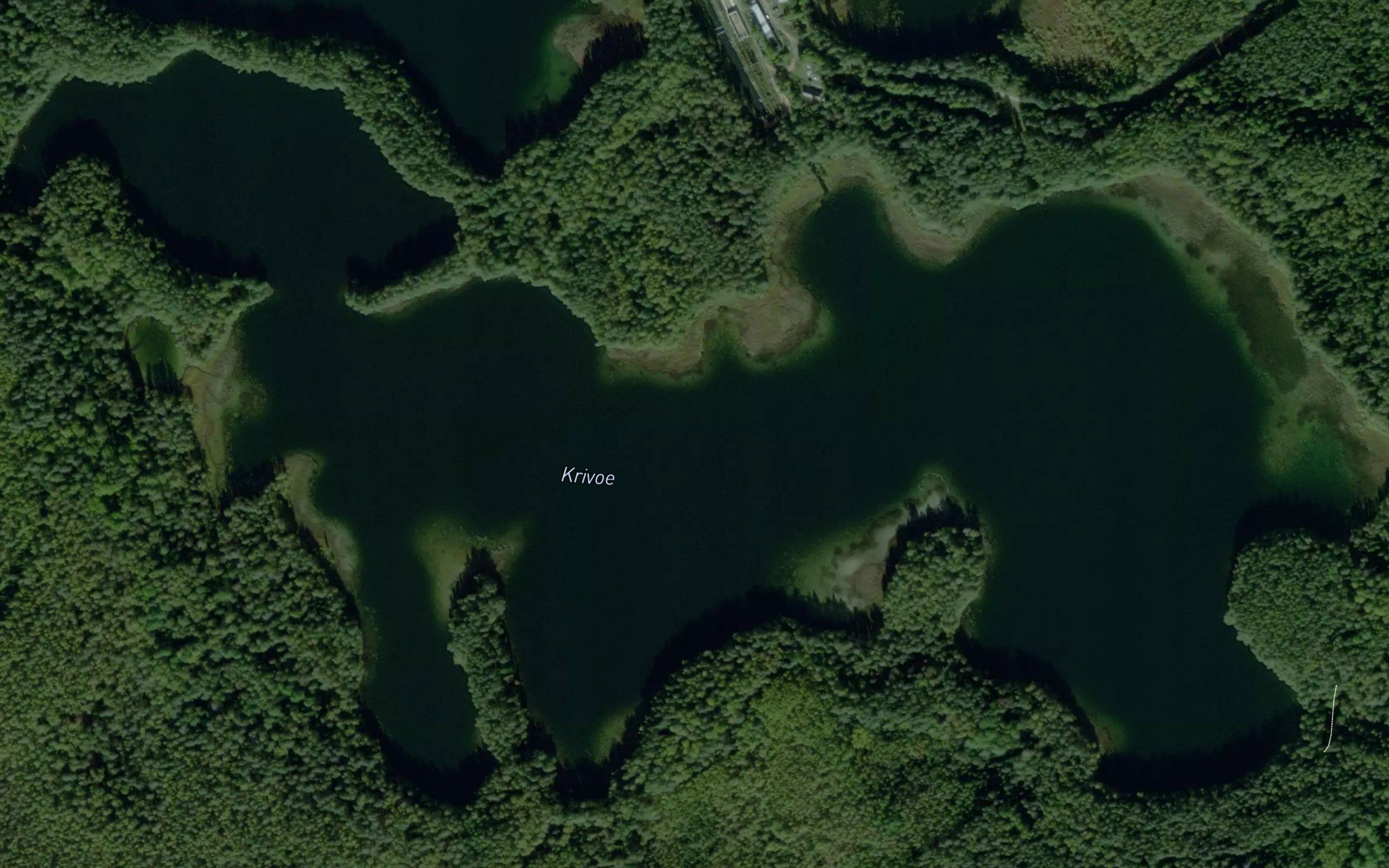 Ozero Krivoye