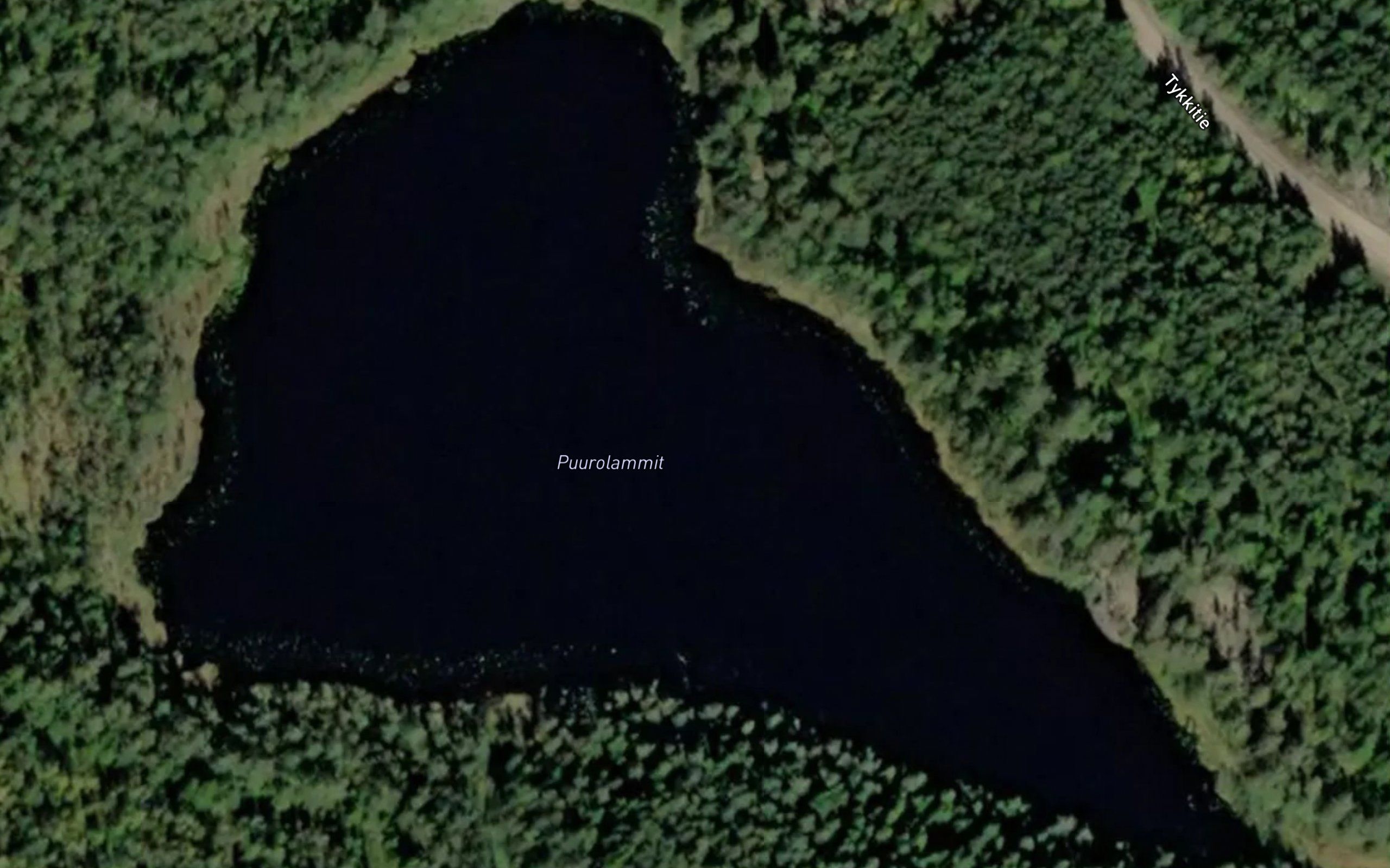 Puurolammit