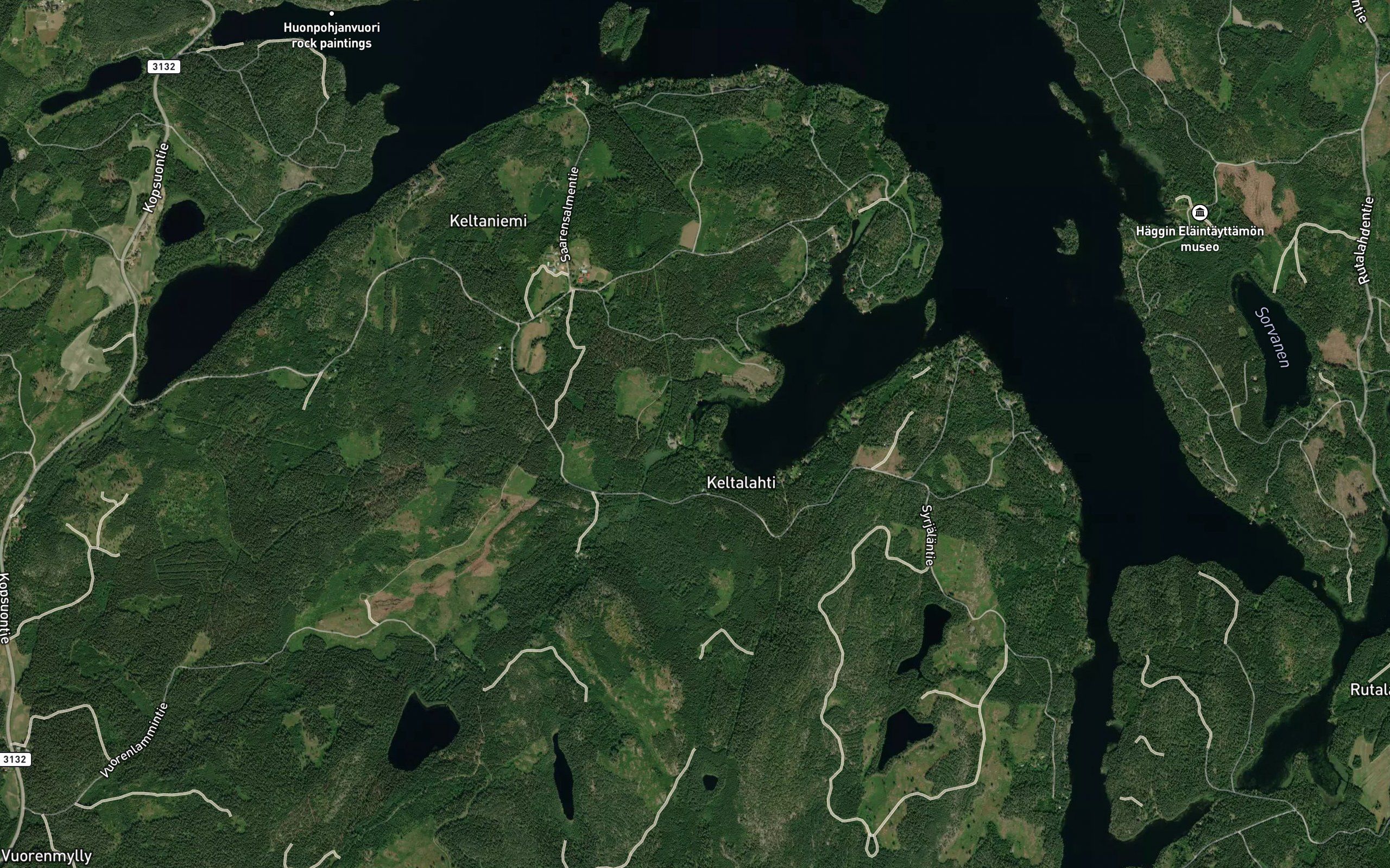 Vuorenlamminoja