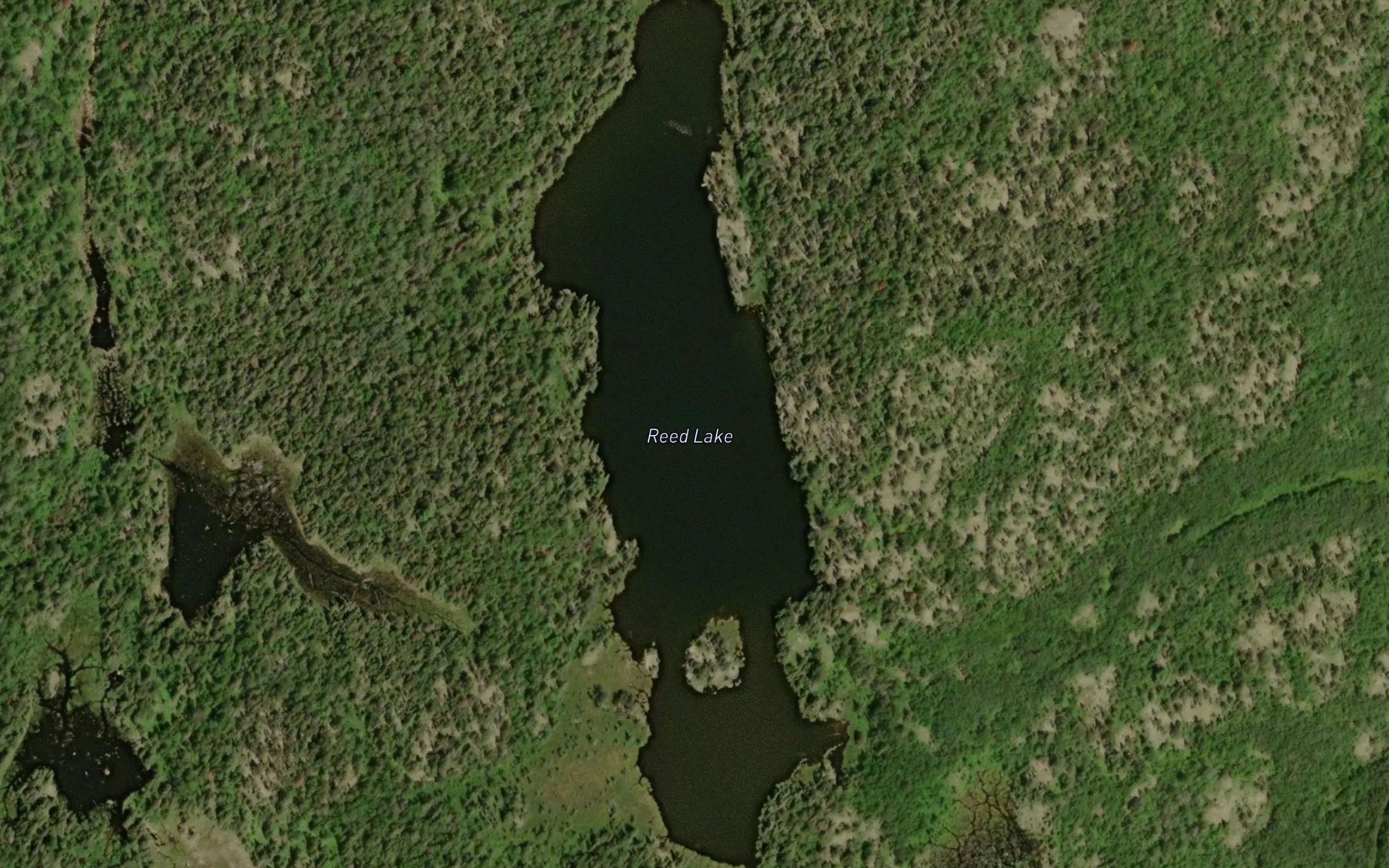 Satellite map of the Reed Lake