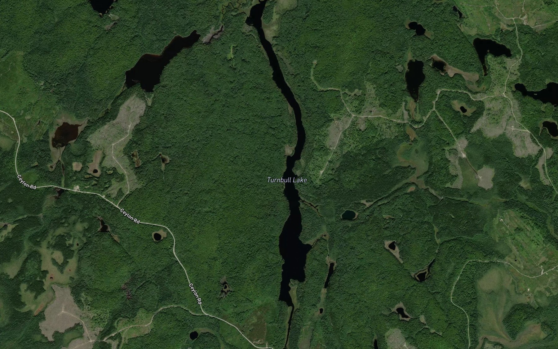 Satellite map of the Turnbull Lake