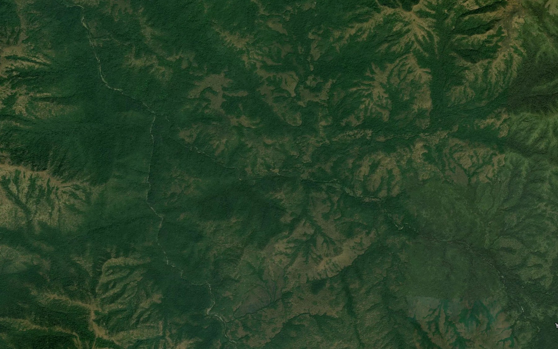 Satellite map of the RiverDim