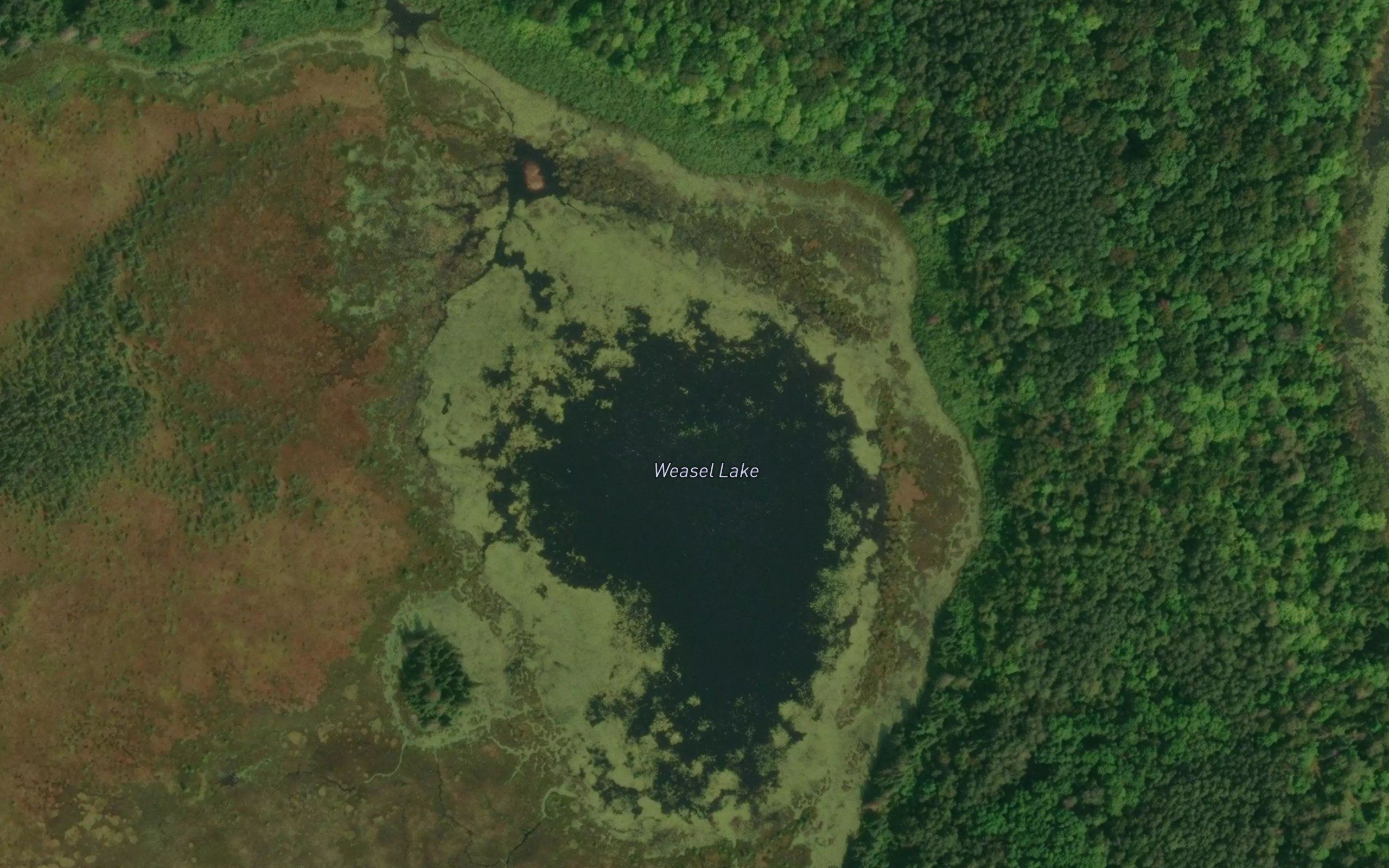 Weasel Lake