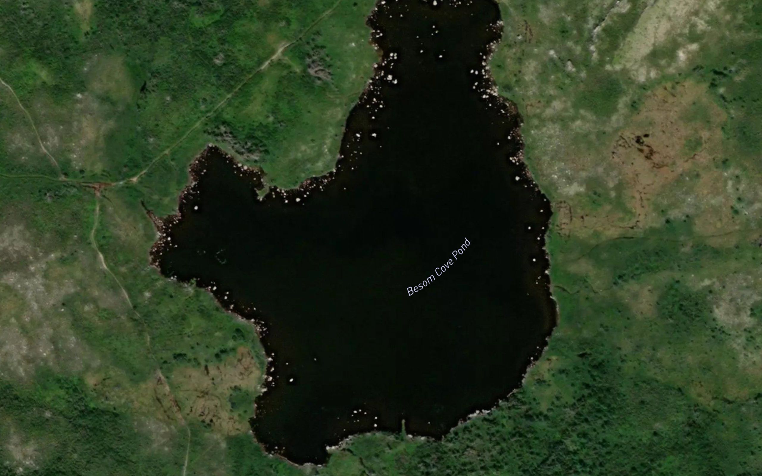 Besom Cove Pond