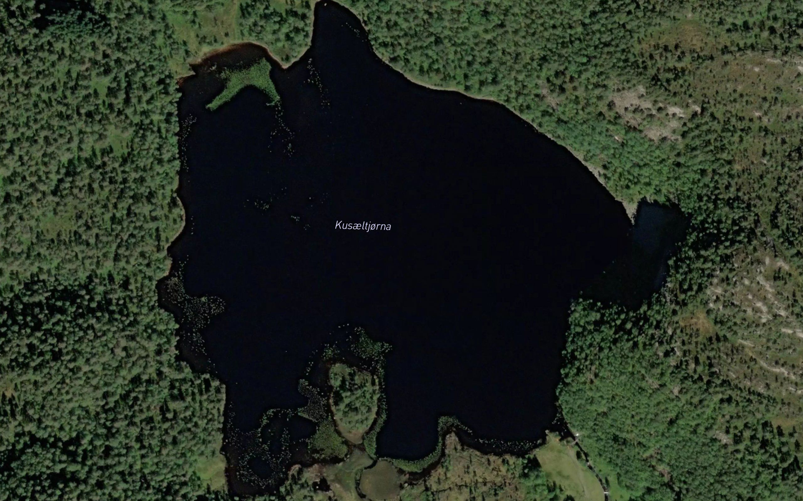 Kusaeltjorna