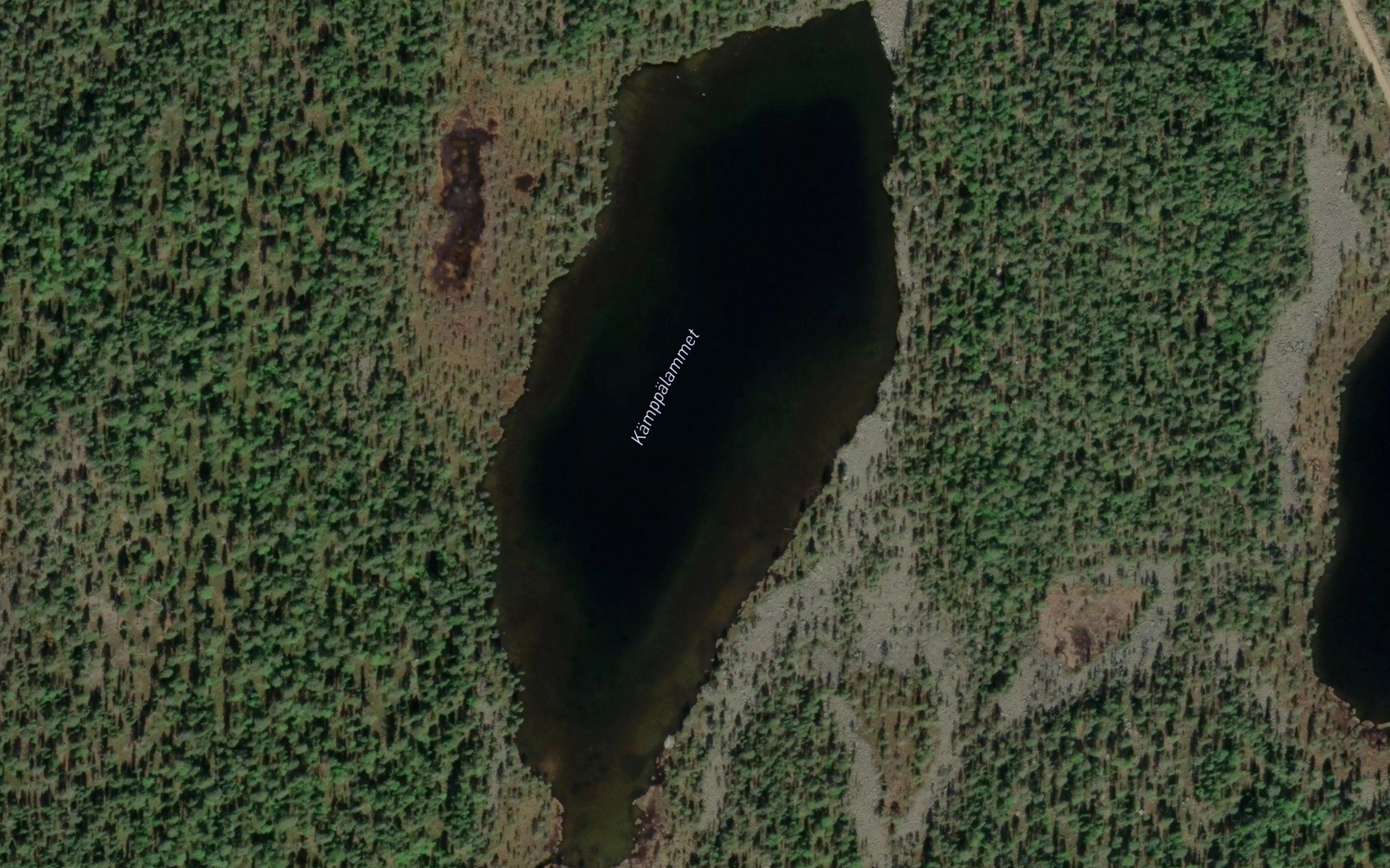 Kamppalammet