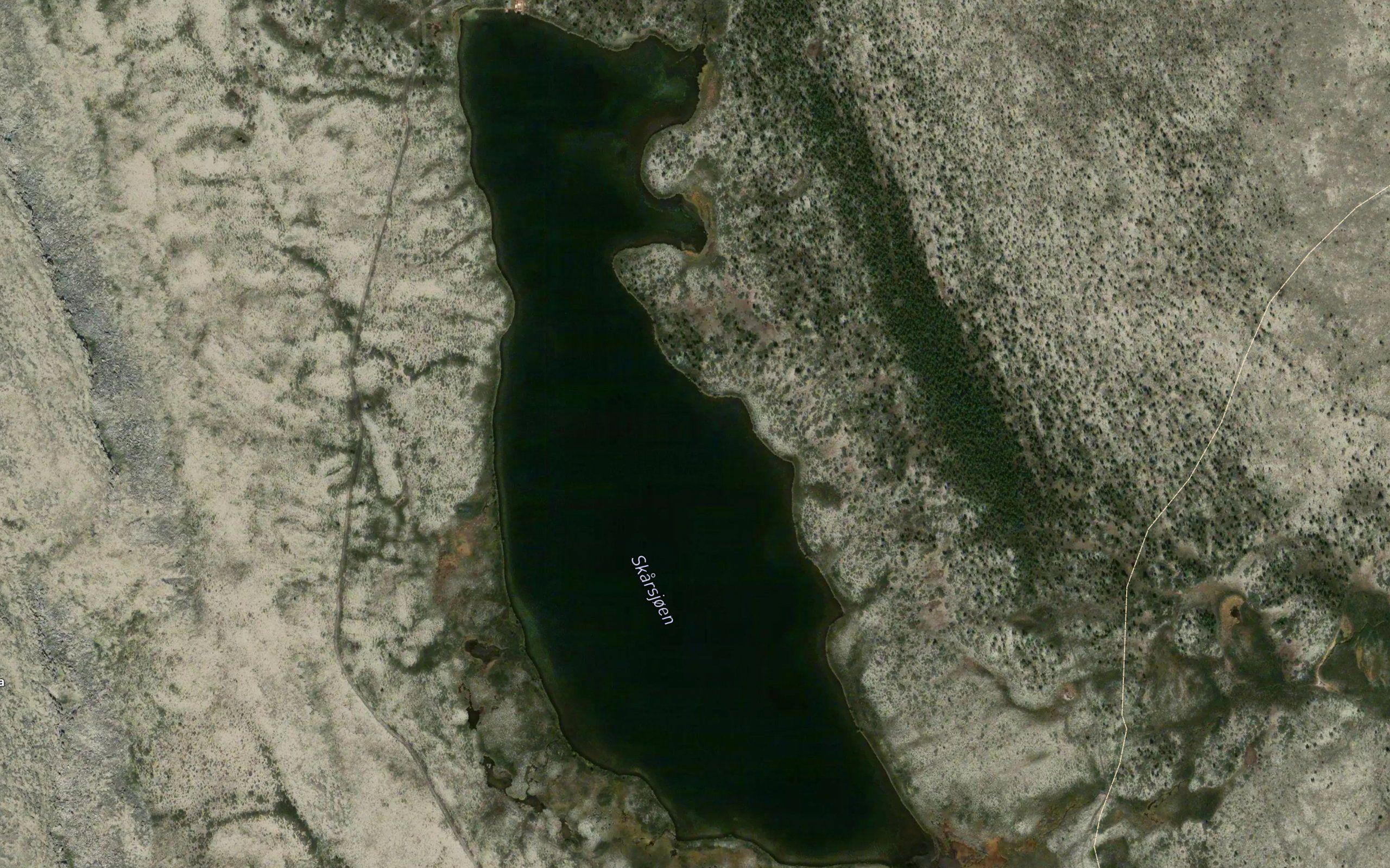 Skardsjoen