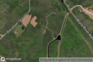 Miner Meadow Brook