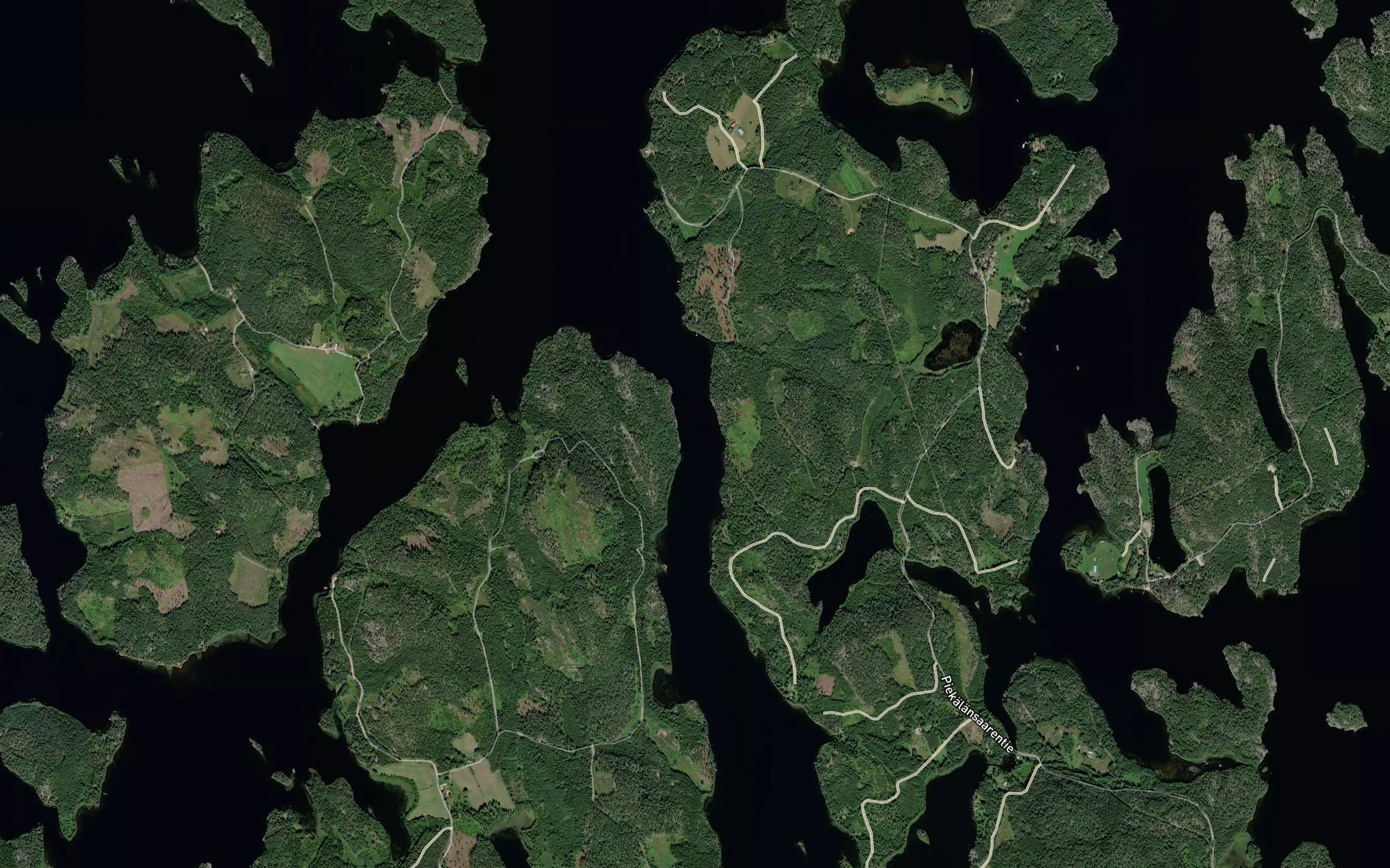 Reissalmi