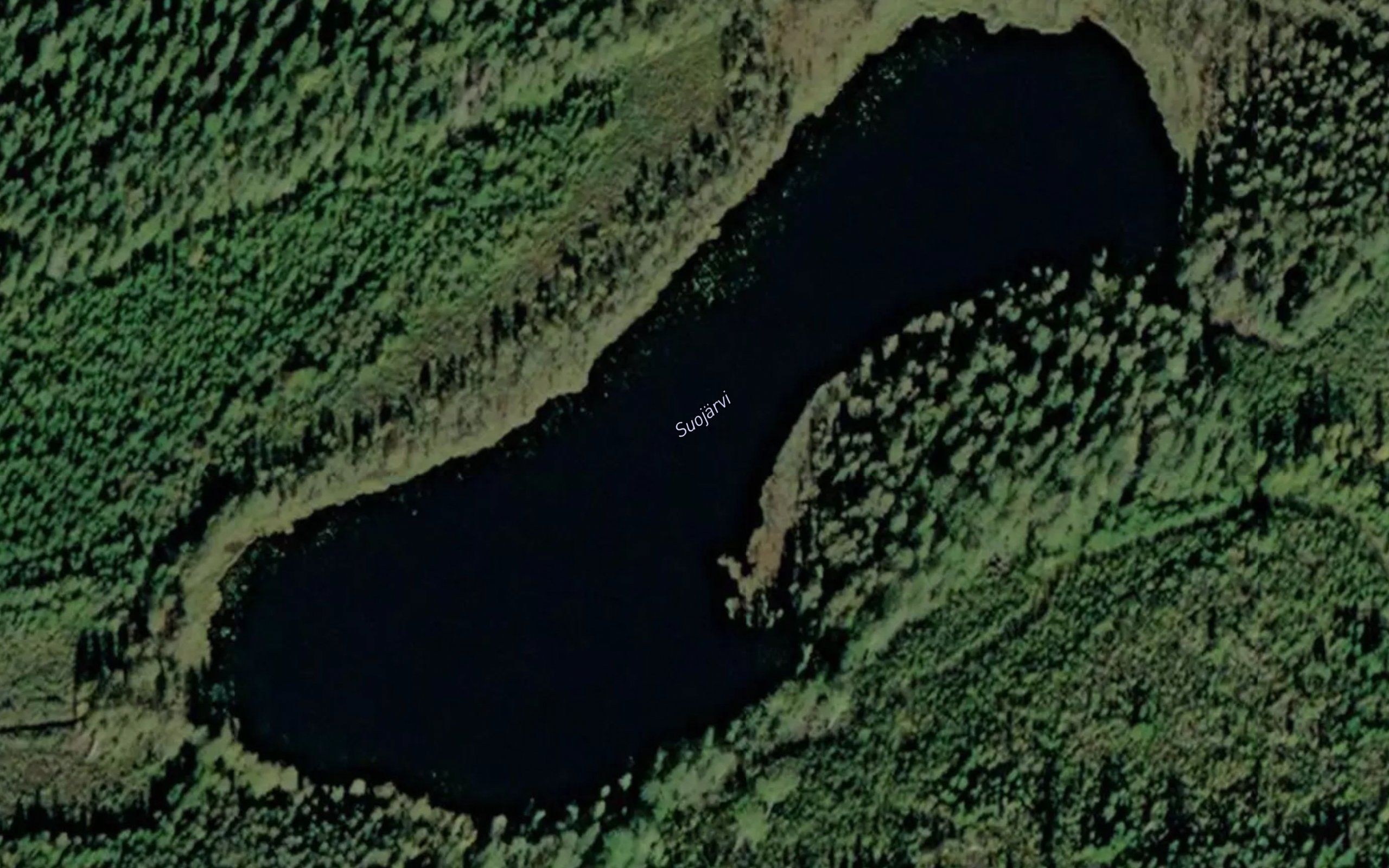 Suojarvi
