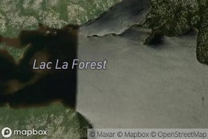 Lac La Forest