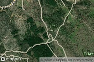 Arroyo de los Palancones