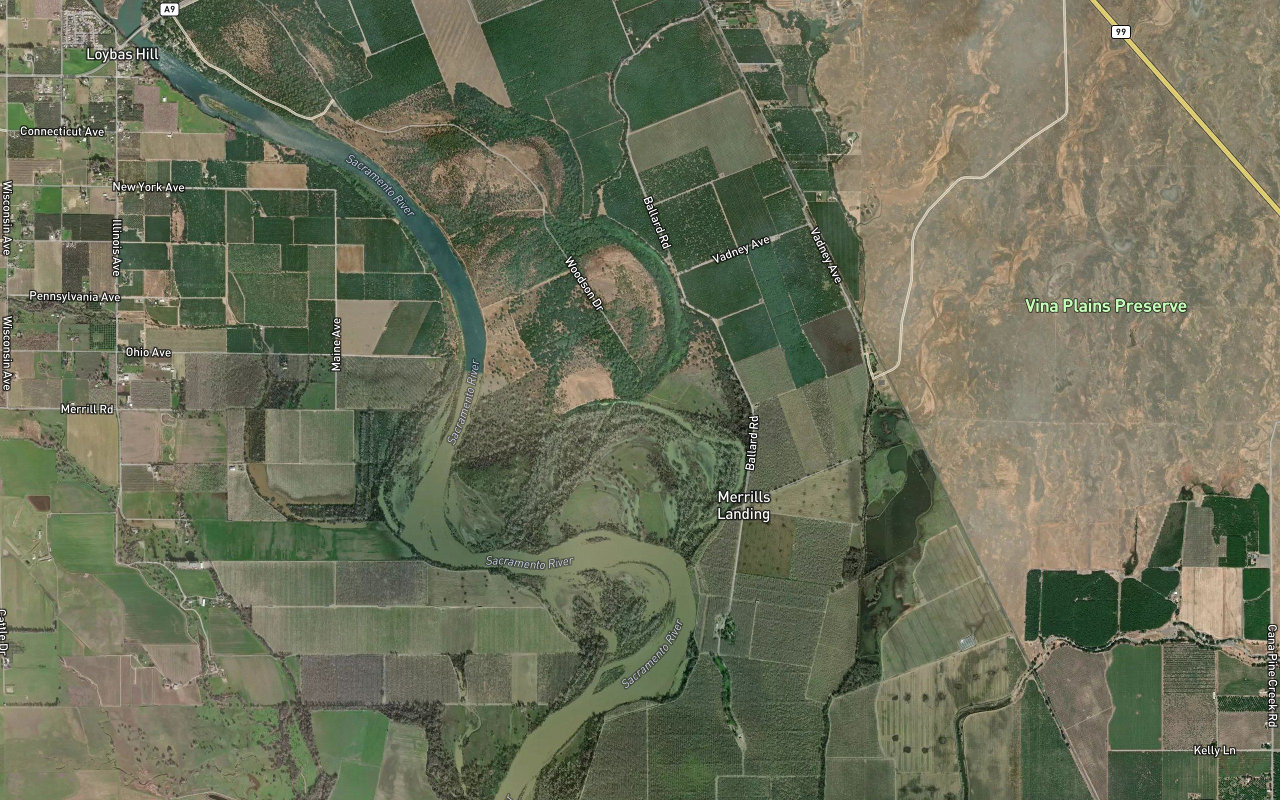 Hoag Slough