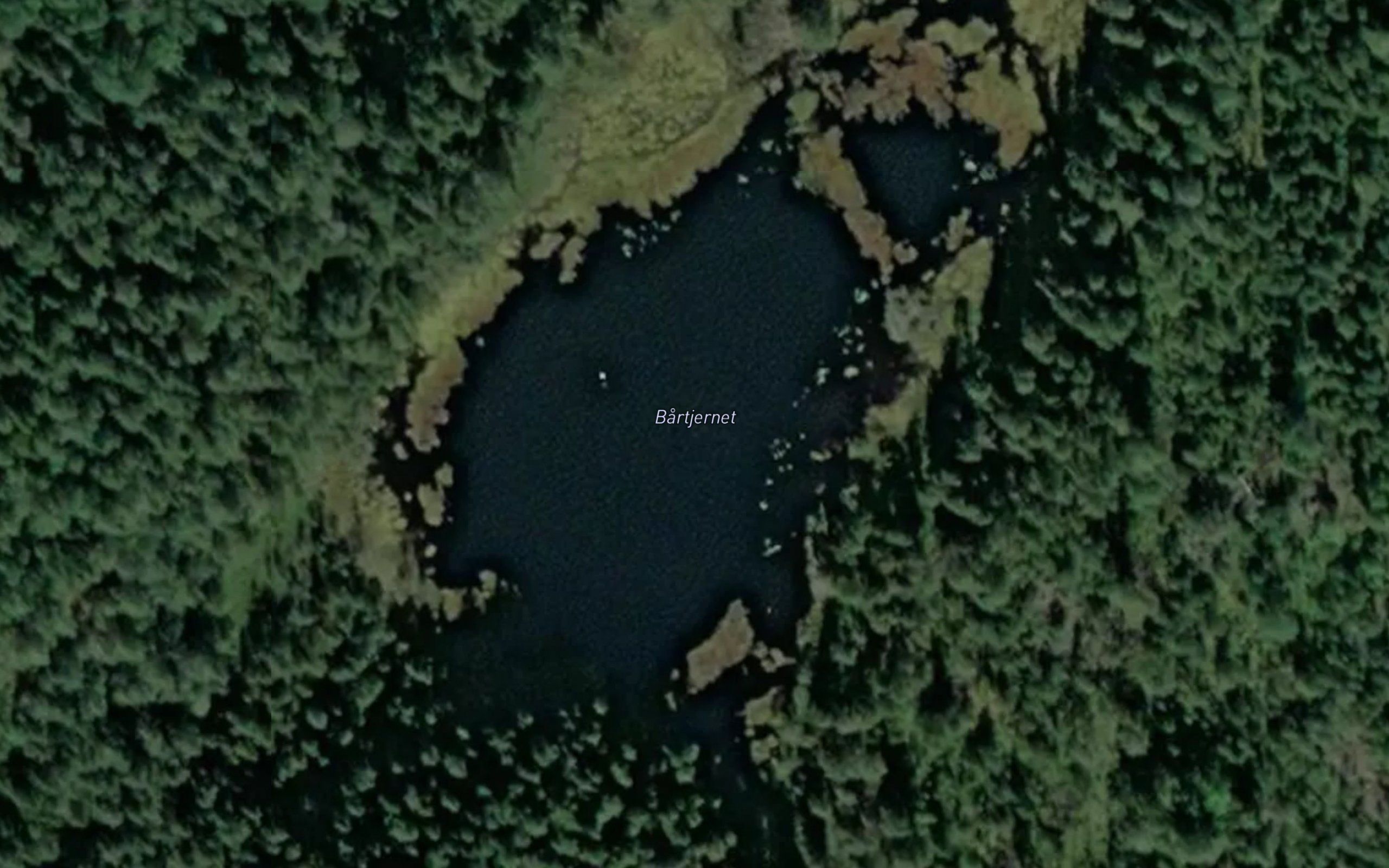 Bartjernet