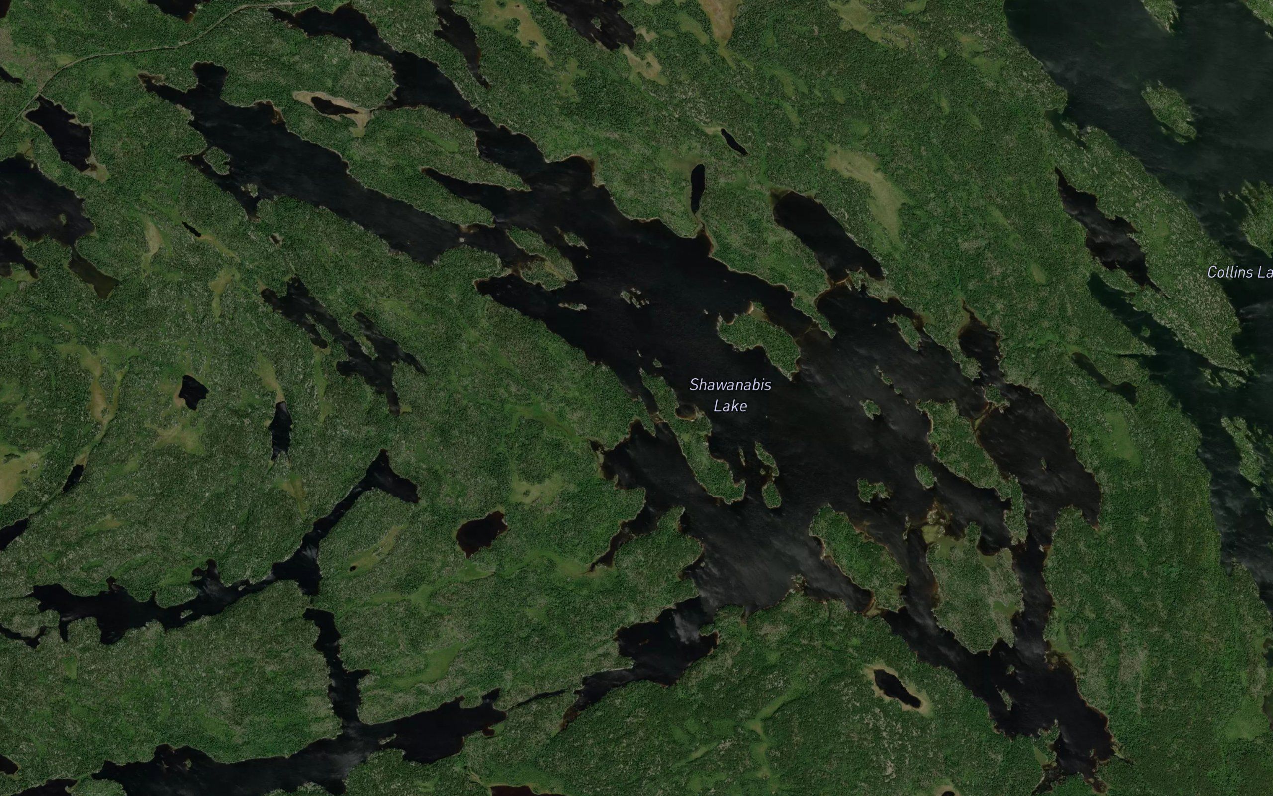 Shawanabis Lake