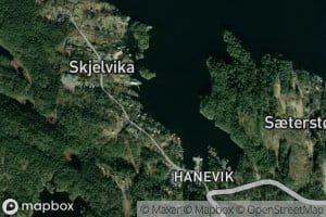 Haneviki