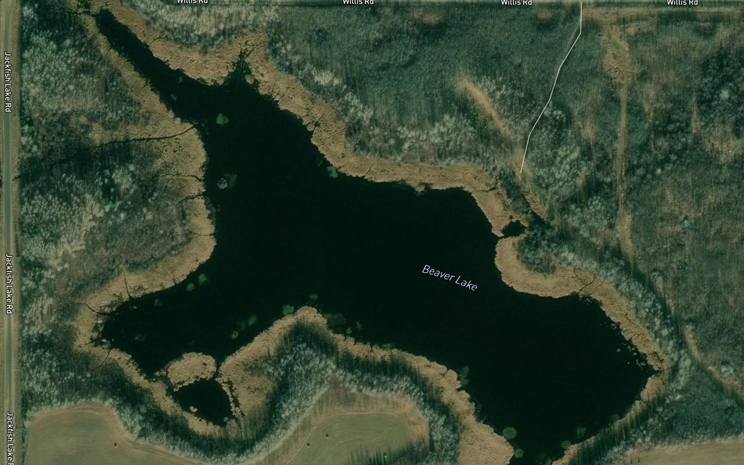 Beaver Lake