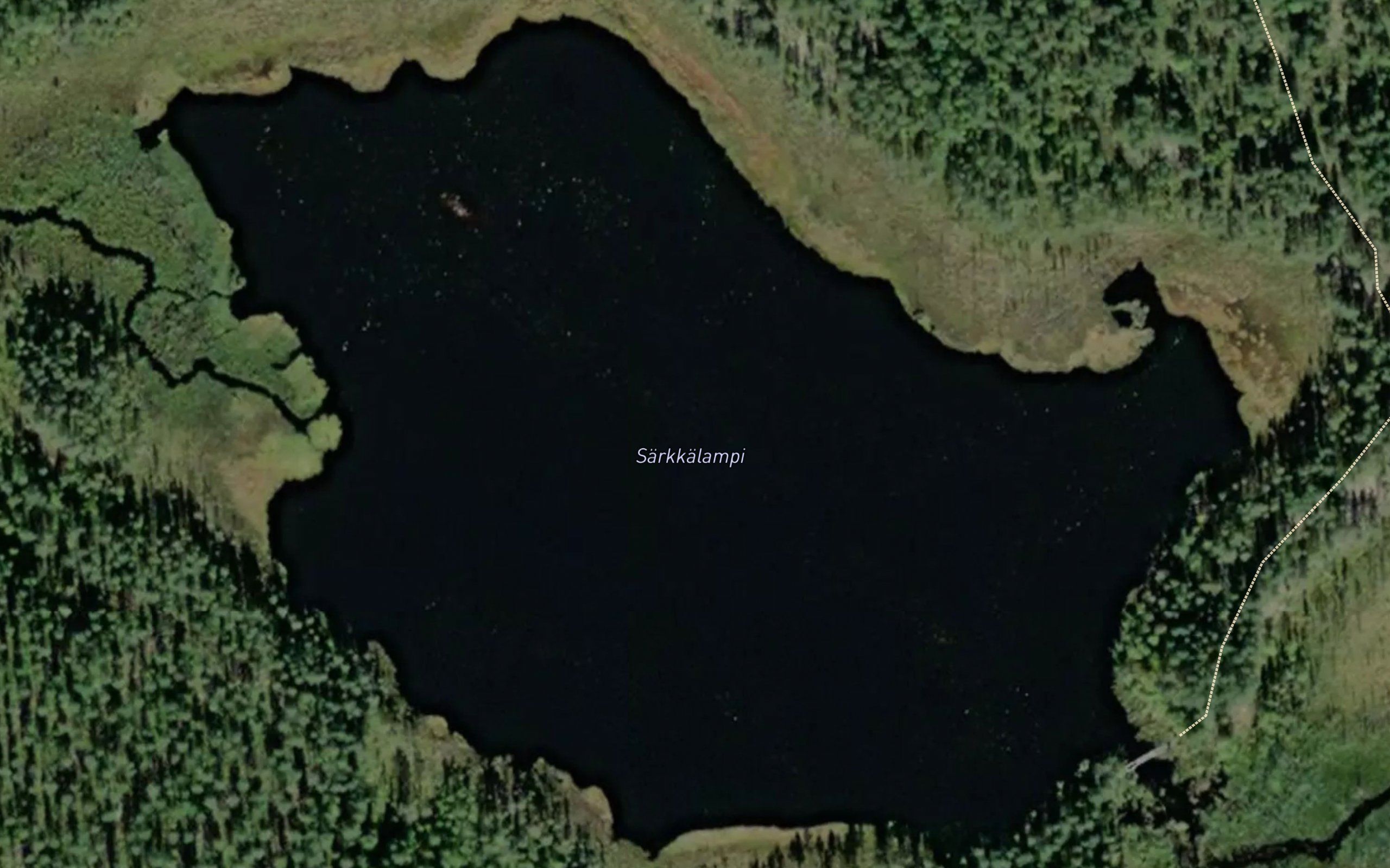 Sarkkalampi
