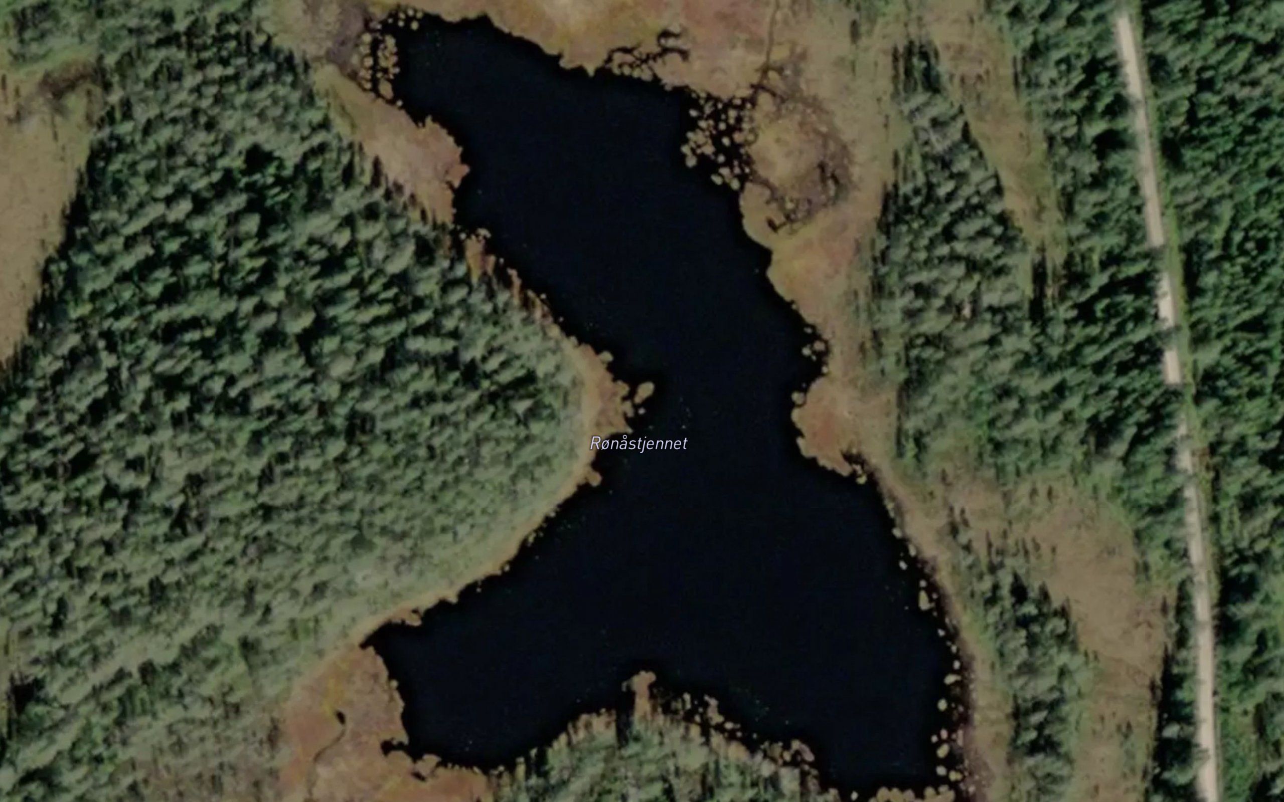 Ronastjernet