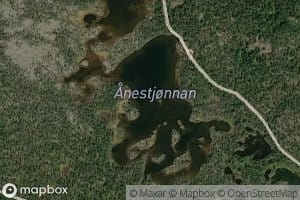 Anestjornane