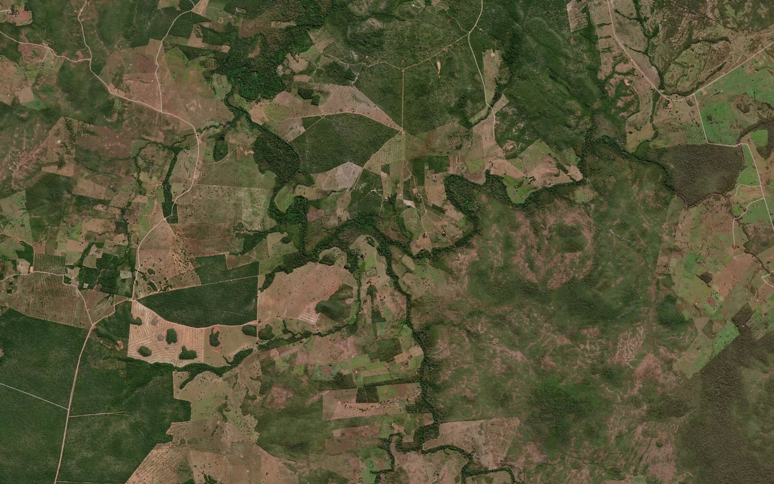 Rio Santana