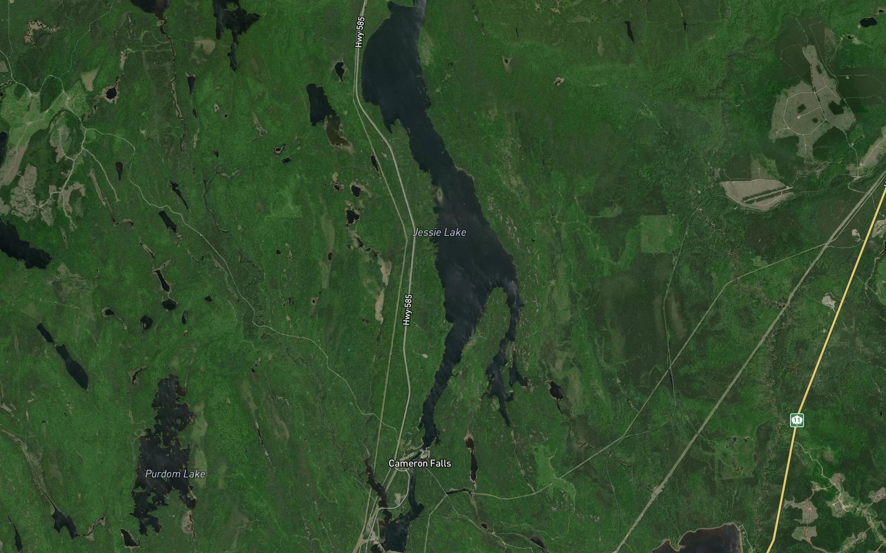 Satellite map of the Jessie Lake