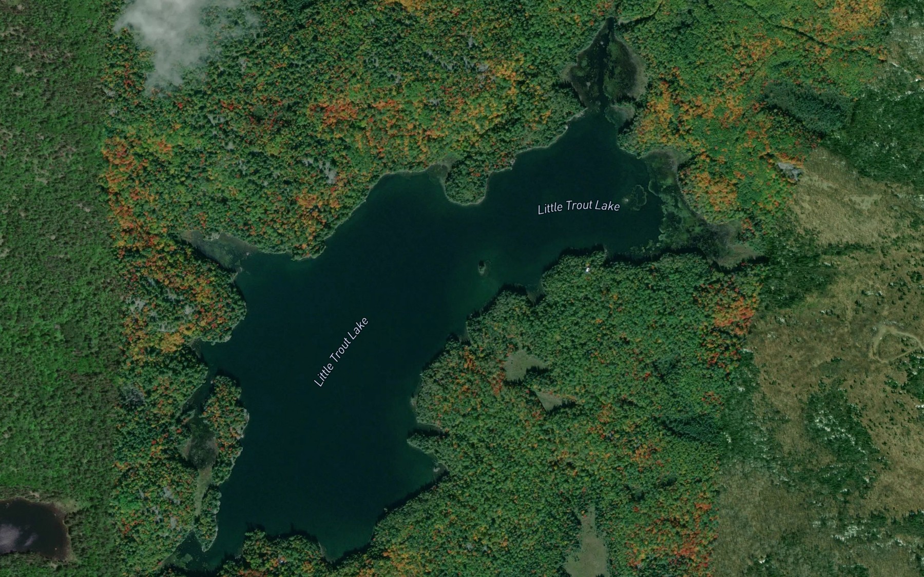 Satellite map of the Little Trout Lake