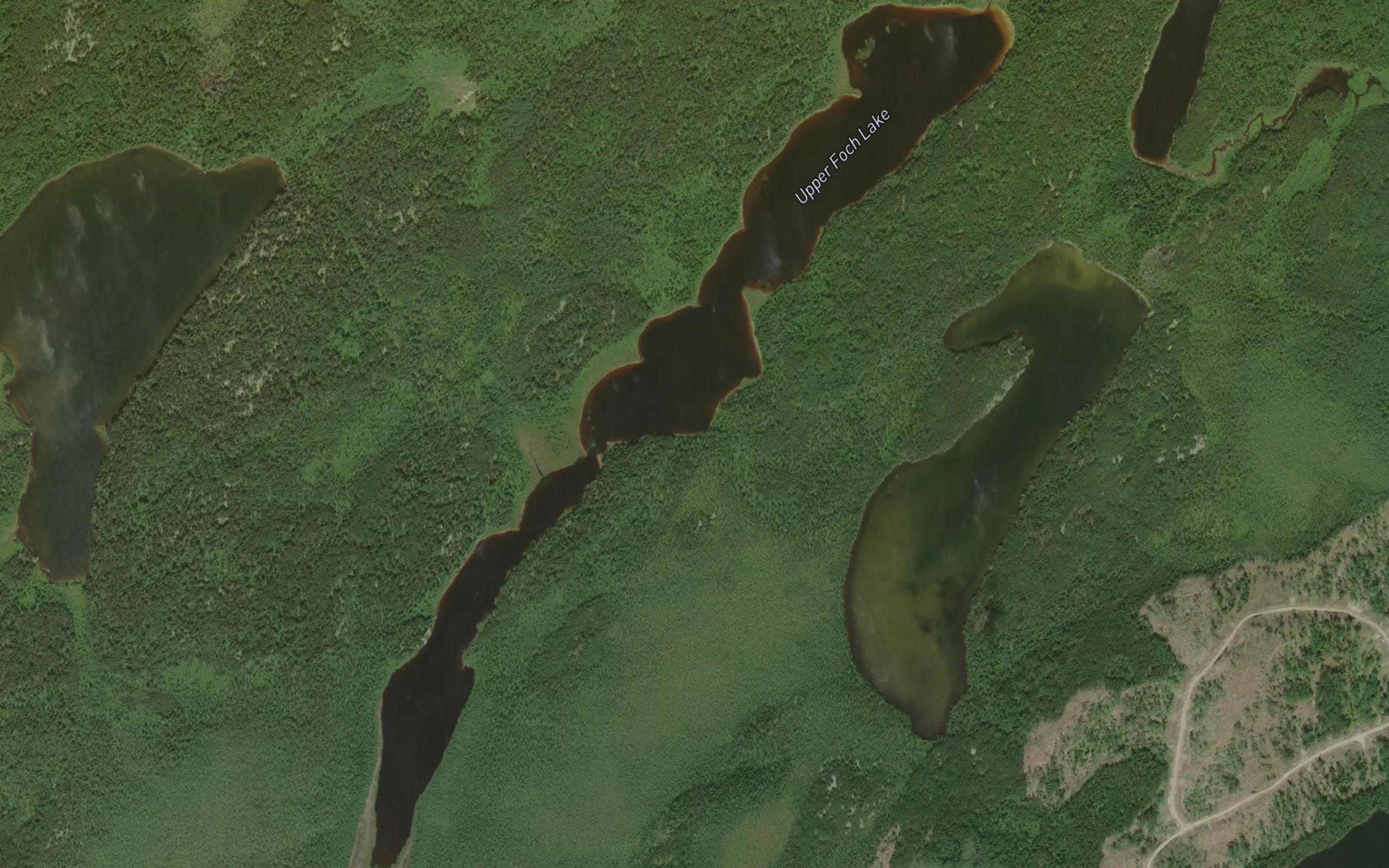 Upper Foch Lake